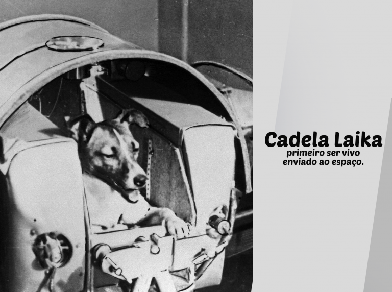 Homenagem a cadela Laika, uma heroína involuntária